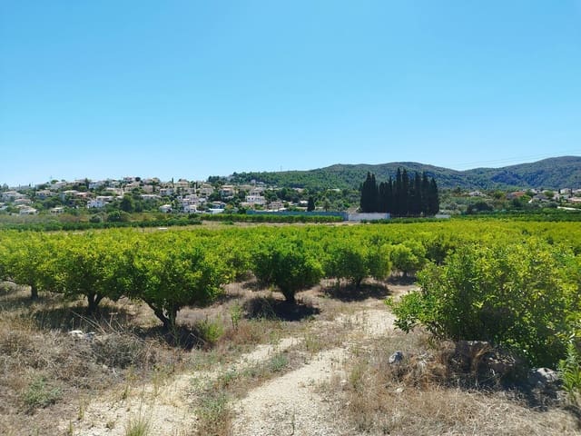 Building Plot for sale in Orba - € 100,000 (Ref: 7812779)