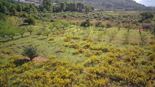Building Plot for sale in Murla - € 100,000 (Ref: 7863002)