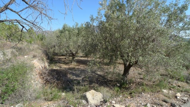 Bouwgrond te koop in Benigembla / Benichembla - € 90.000 (Ref: 8494311)