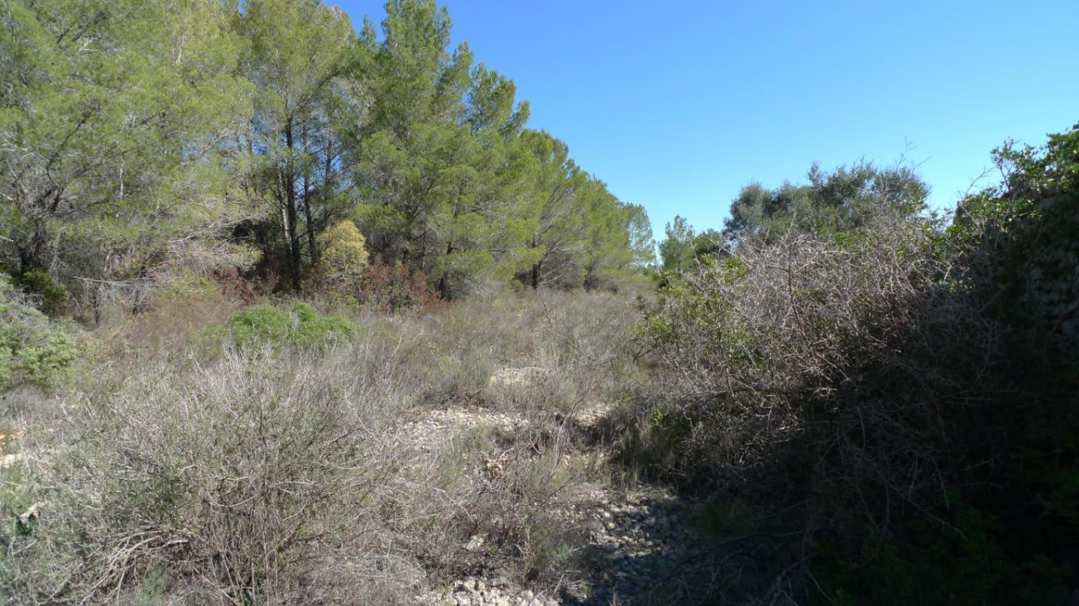 Bouwgrond te koop in Benigembla / Benichembla - € 90.000 (Ref: 8494311)