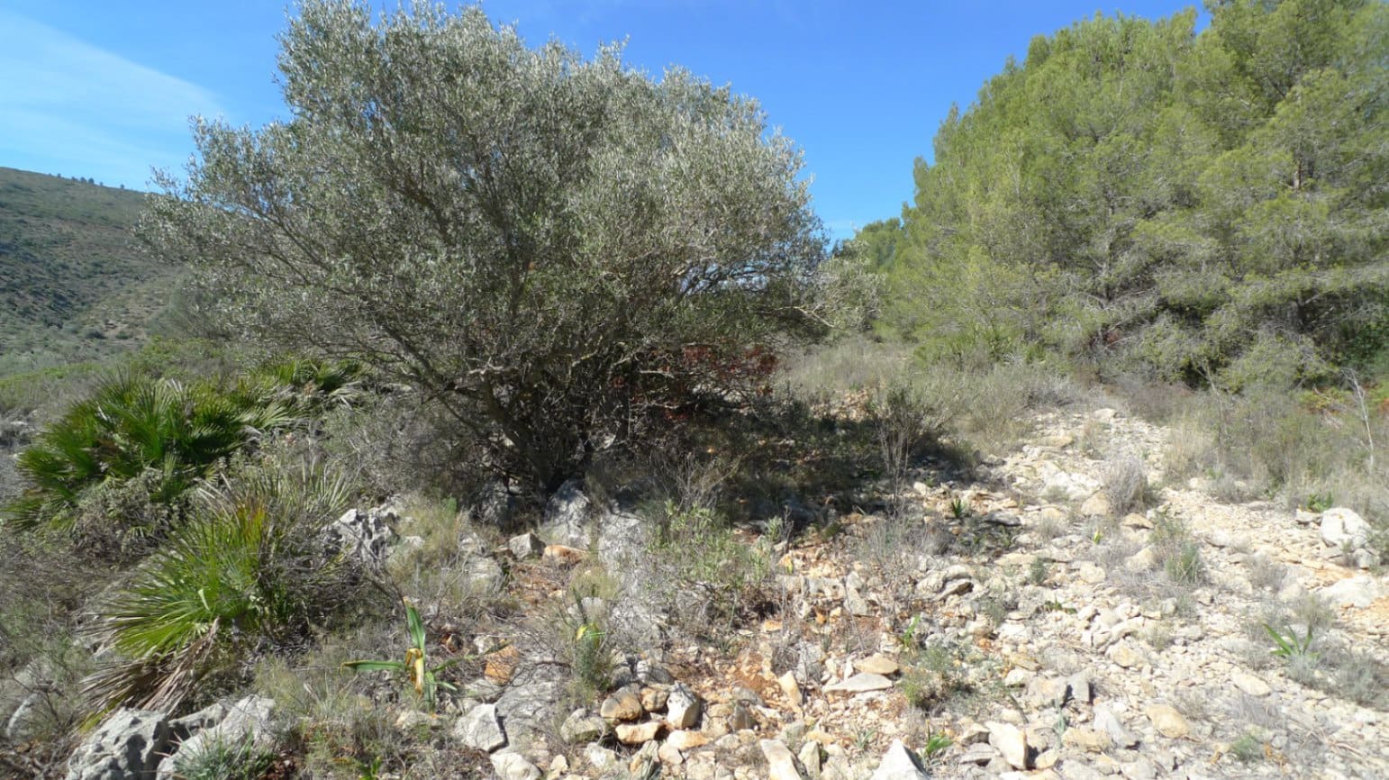 Bouwgrond te koop in Benigembla / Benichembla - € 90.000 (Ref: 8494311)