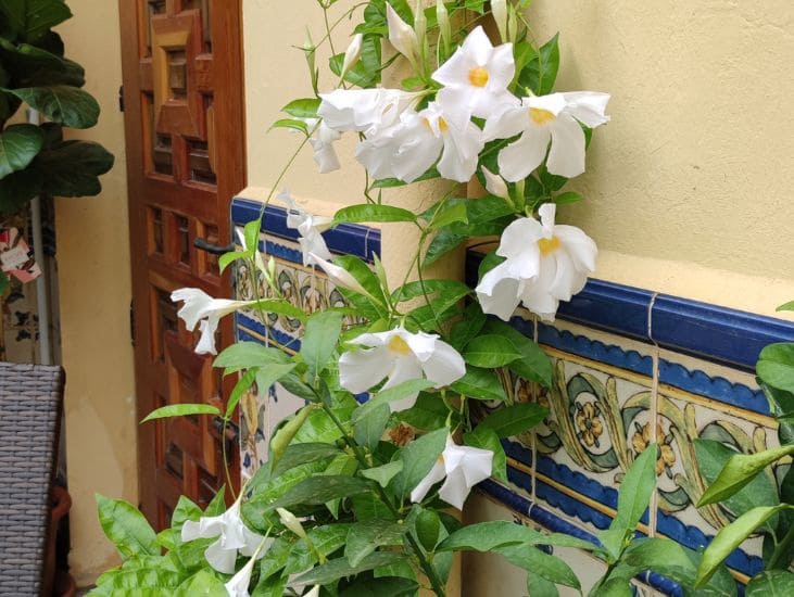 Casa de 8 habitaciones en Sanet i Negrals en venta con piscina garaje - 369.000 € (Ref: 8494329)