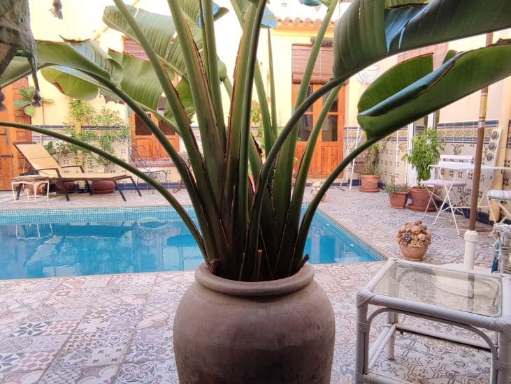 Casa de 8 habitaciones en Sanet i Negrals en venta con piscina garaje - 369.000 € (Ref: 8494329)