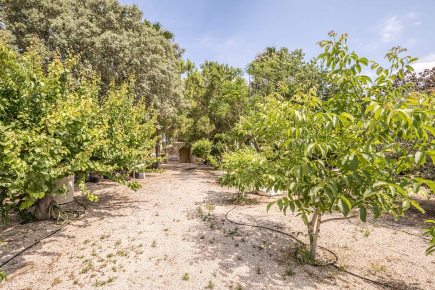 7 quarto Moradia para venda em La Xara com piscina garagem - 2 950 000 € (Ref: 8494338)