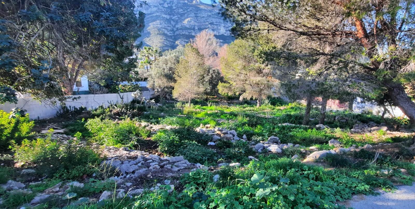 Terrain à Bâtir à vendre à Denia - 495 000 € (Ref: 8766227)