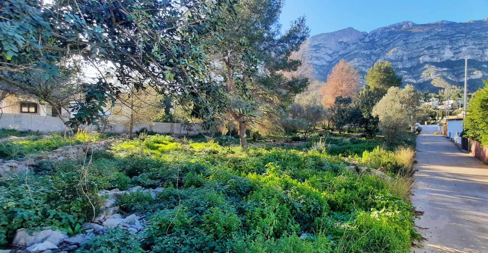 Terrain à Bâtir à vendre à Denia - 495 000 € (Ref: 8766227)