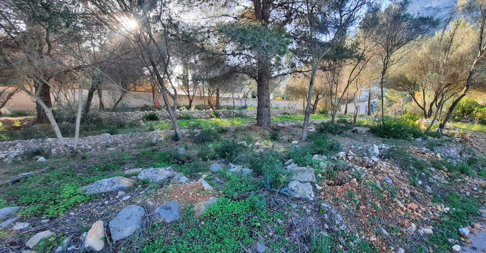 Terrain à Bâtir à vendre à Denia - 495 000 € (Ref: 8766227)
