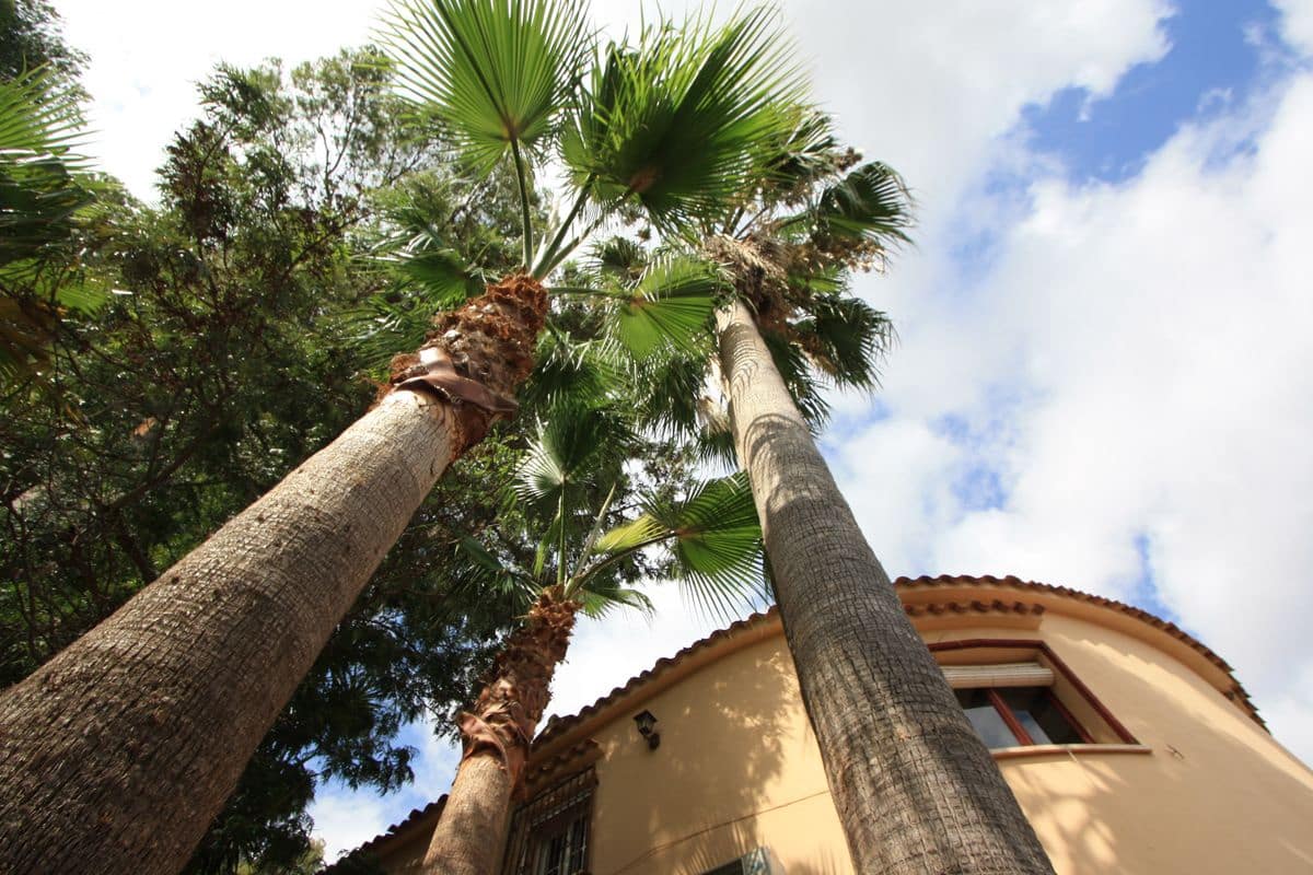 5 sovrum Villa till salu i Denia med pool garage - 775 000 € (Ref: 8807159)