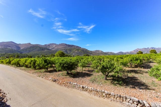 Building Plot for sale in Orba - € 170,000 (Ref: 8821020)