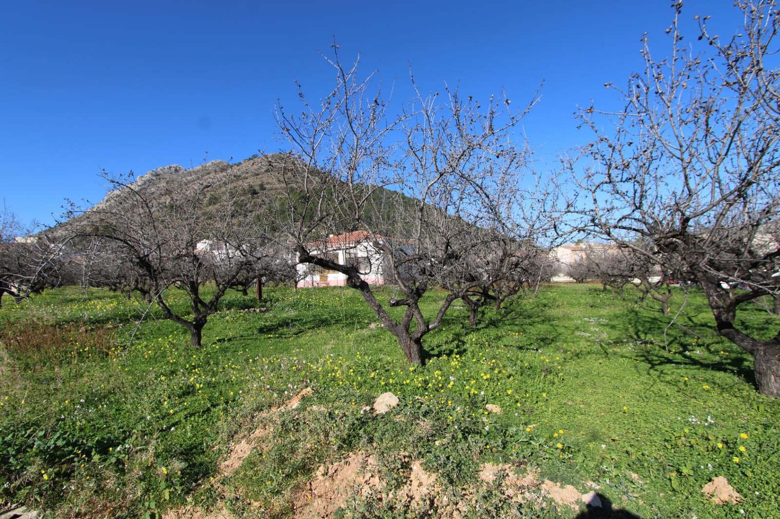 3 soveværelse Villa til salg i Murla med garage - € 329.000 (Ref: 8875879)