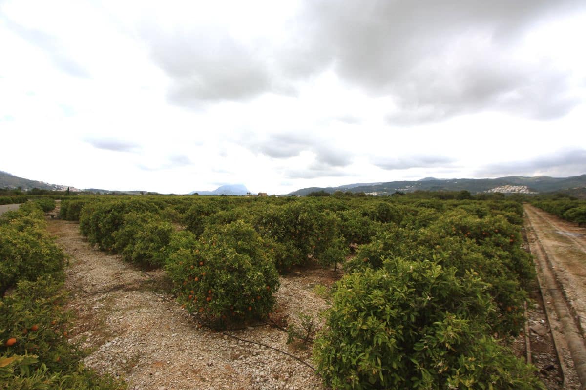 Terrain à Bâtir à vendre à Tormos - 132 000 € (Ref: 8954959)