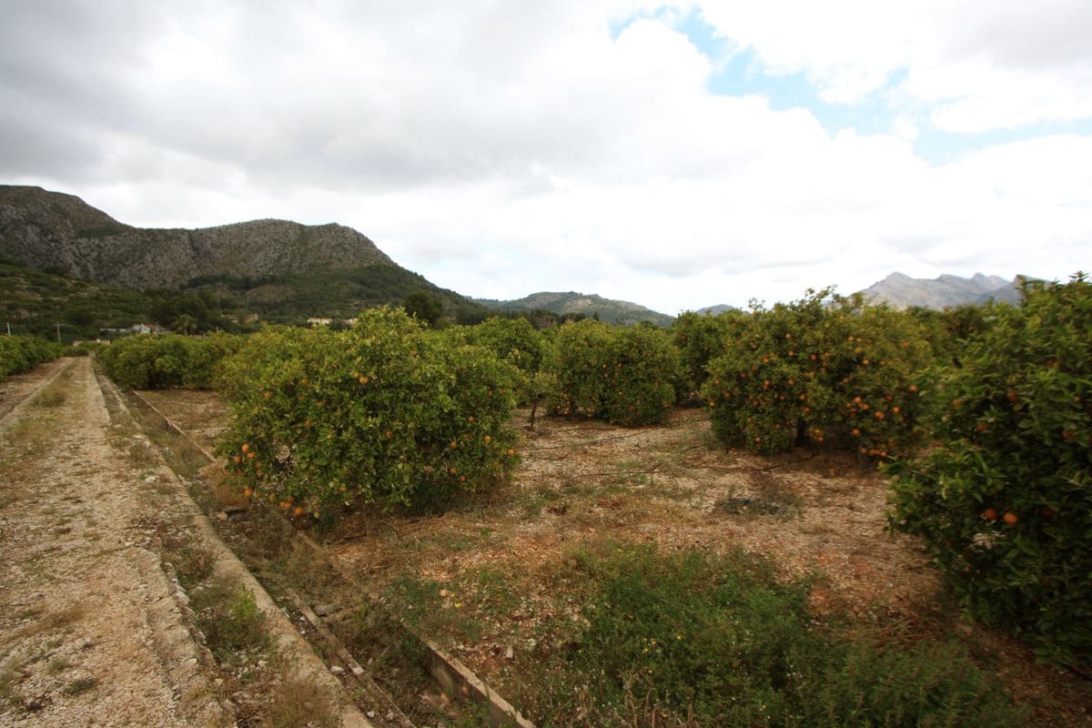 Terrain à Bâtir à vendre à Tormos - 132 000 € (Ref: 8954959)