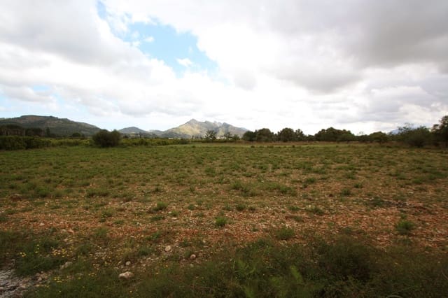 Bouwgrond te koop in Tormos - € 132.000 (Ref: 8954959)