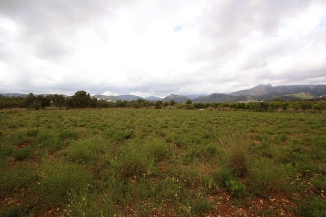 Bouwgrond te koop in Tormos - € 132.000 (Ref: 8954959)