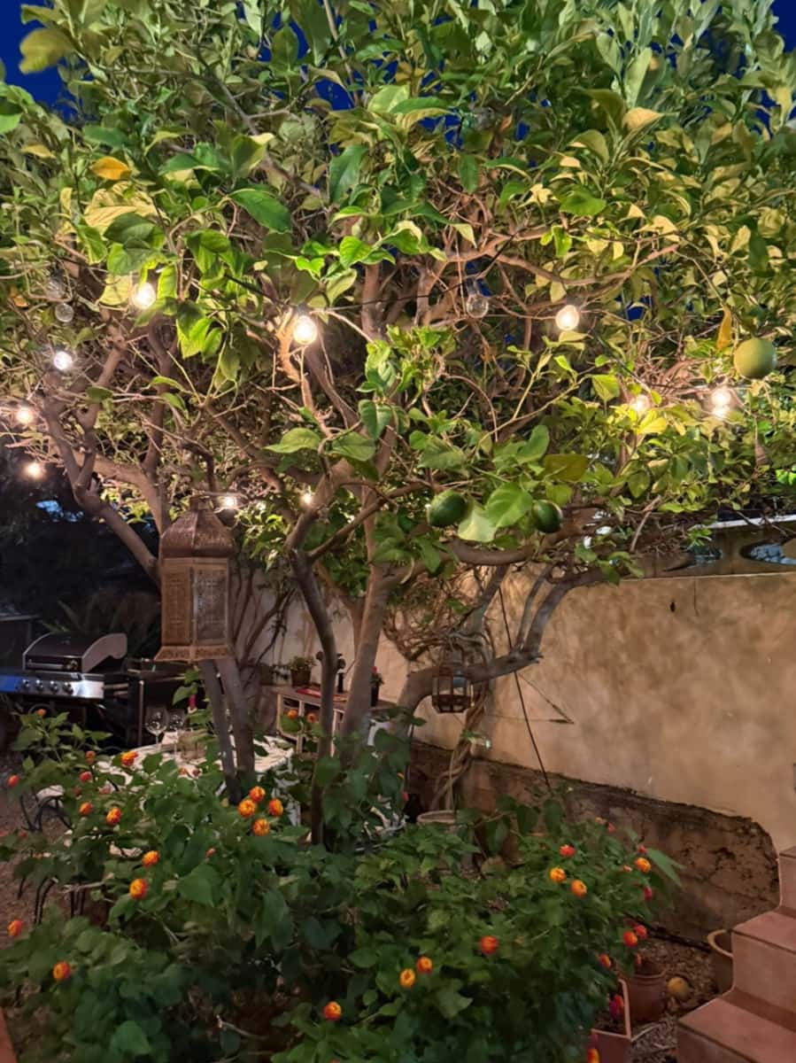 3 soverom Villa til salgs i Orba med svømmebasseng garasje - € 525 000 (Ref: 9170500)