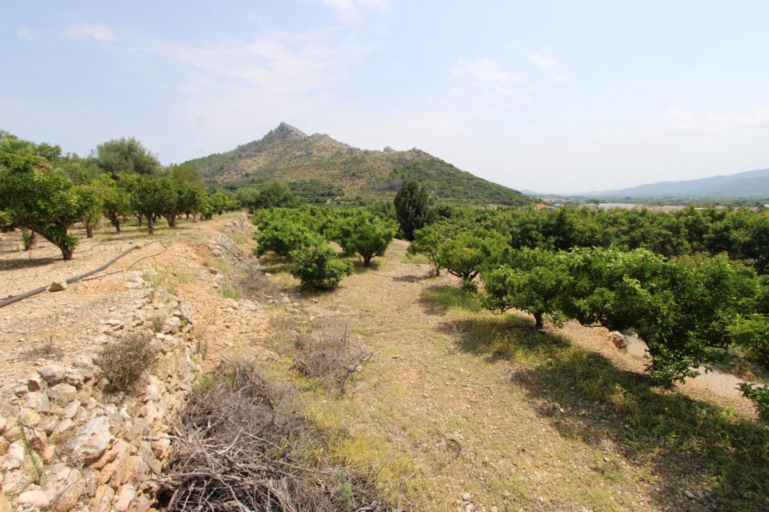 Villa till salu i Rafol de Almunia - 110 000 € (Ref: 9184731)