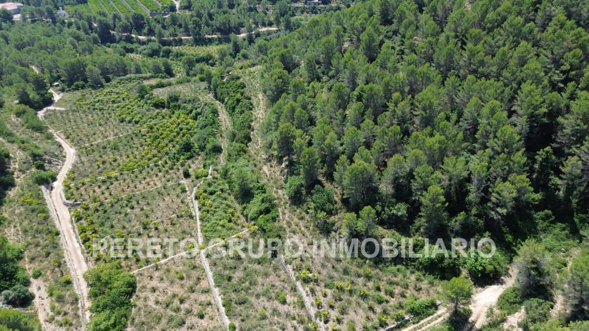 Byggetomt til salgs i Oliva - € 330 000 (Ref: 9191882)