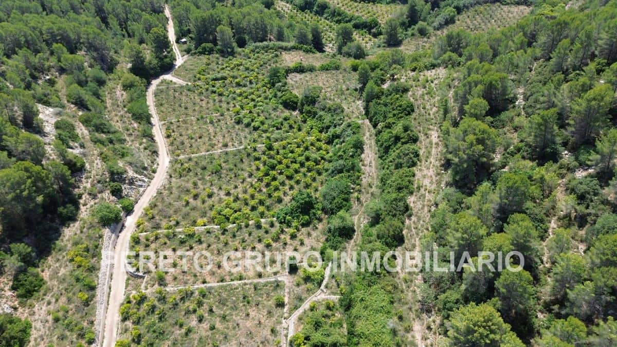 Byggetomt til salgs i Oliva - € 330 000 (Ref: 9191882)