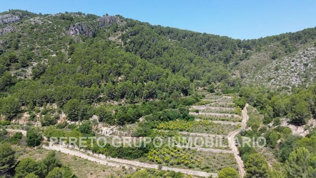 Building Plot for sale in Oliva - € 330,000 (Ref: 9191882)