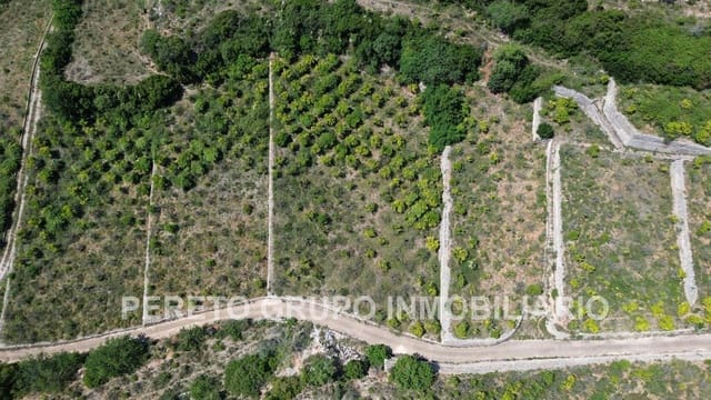 Building Plot for sale in Oliva - € 330,000 (Ref: 9191882)