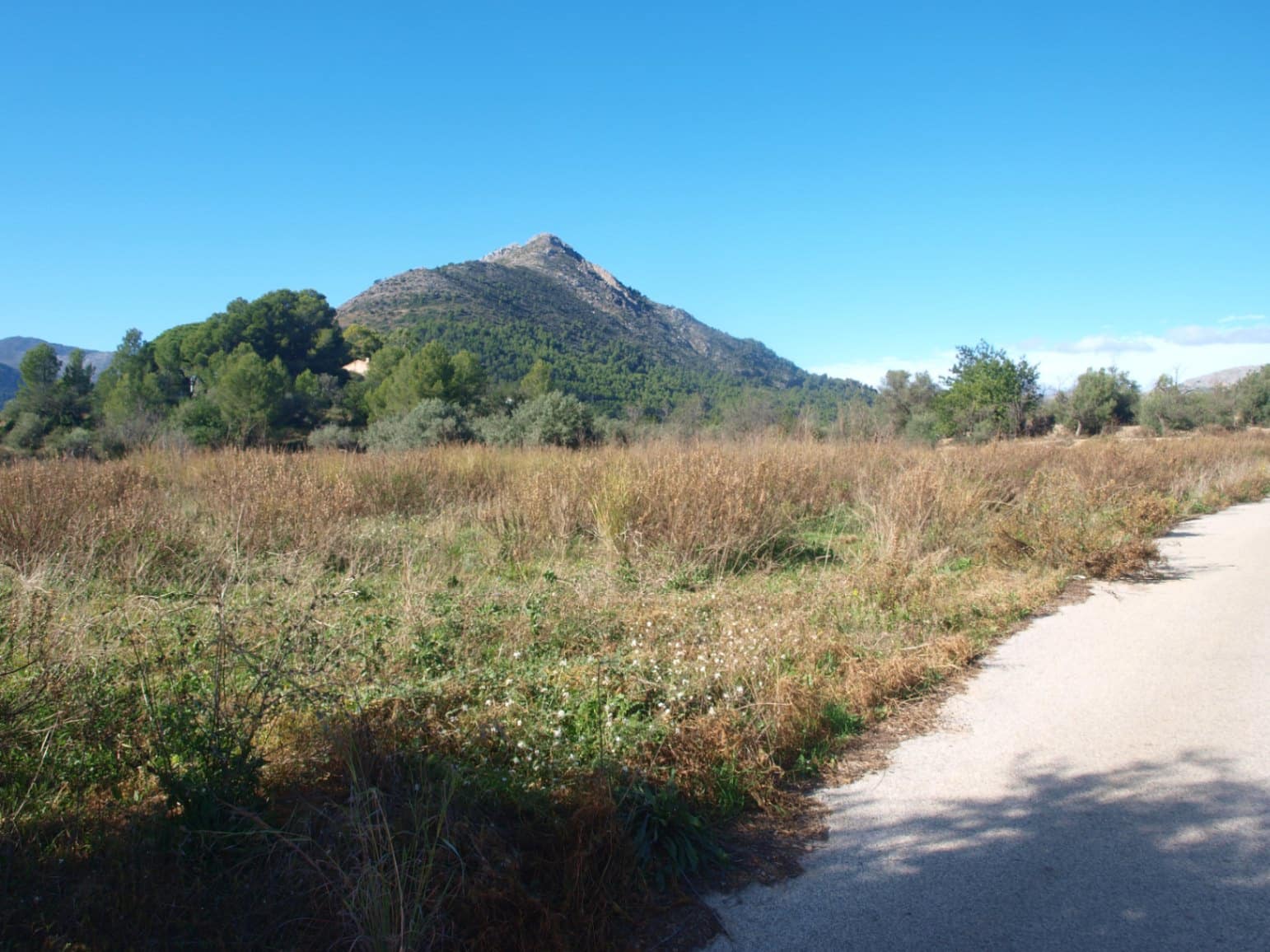 Solar/Parcela en Murla en venta - 100.000 € (Ref: 9462764)