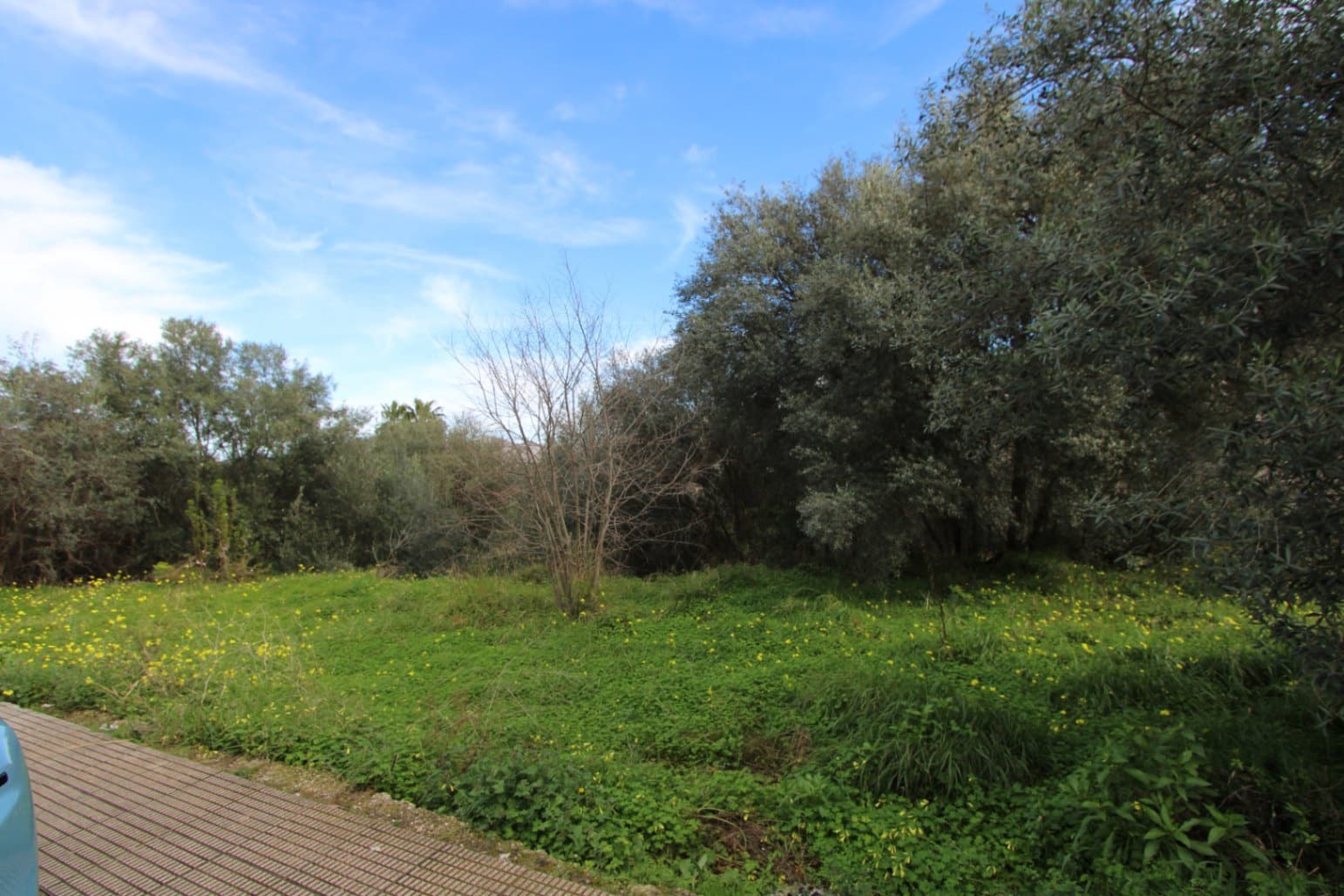 Działka budowlana na sprzedaż w Orba - 180 000 € (Ref: 9596840)