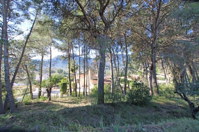 Building Plot for sale in Alcalalí / Alcanalí - € 341,000 (Ref: 9688557)