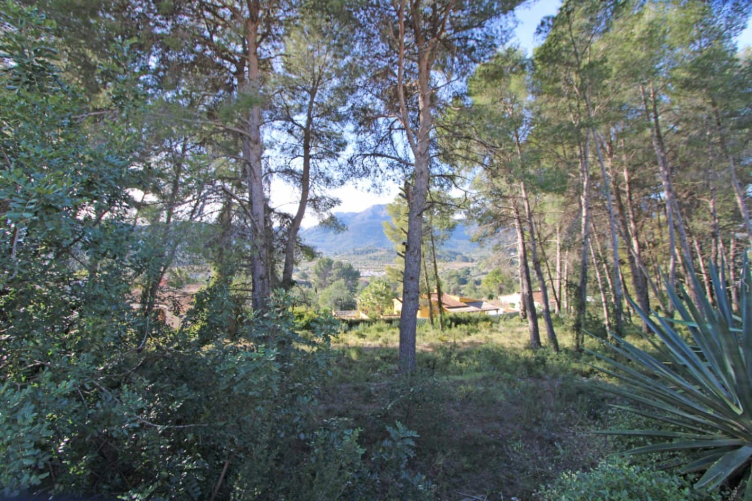 Building Plot for sale in Alcalali / Alcanali - € 341,000 (Ref: 9688557)