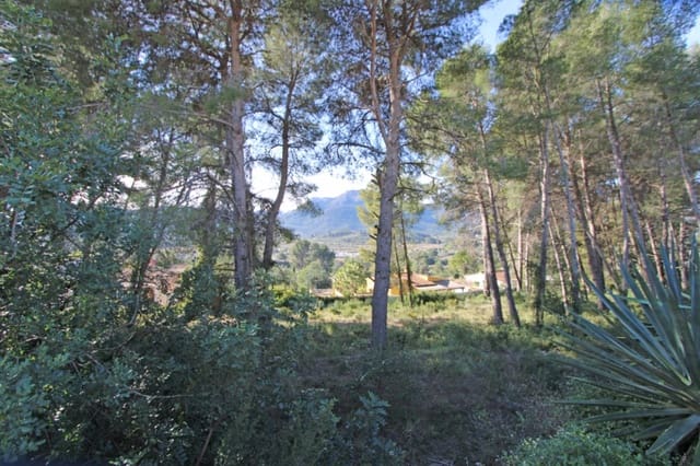 Building Plot for sale in Alcalalí / Alcanalí - € 341,000 (Ref: 9688557)