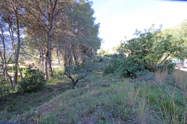 Building Plot for sale in Alcalalí / Alcanalí - € 341,000 (Ref: 9688557)