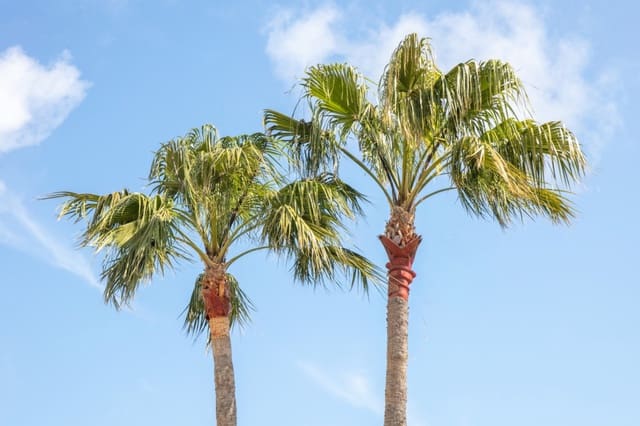 4 sypialnia Willa na sprzedaż w Javea / Xàbia z garażem - 1 100 000 € (Ref: 9733872)