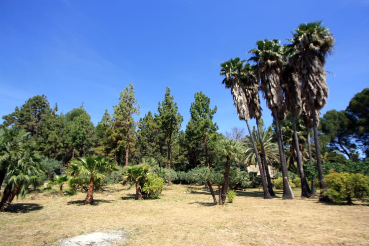11 bedroom Villa for sale in Sagra with pool garage - € 1,990,000 (Ref: 9816484)
