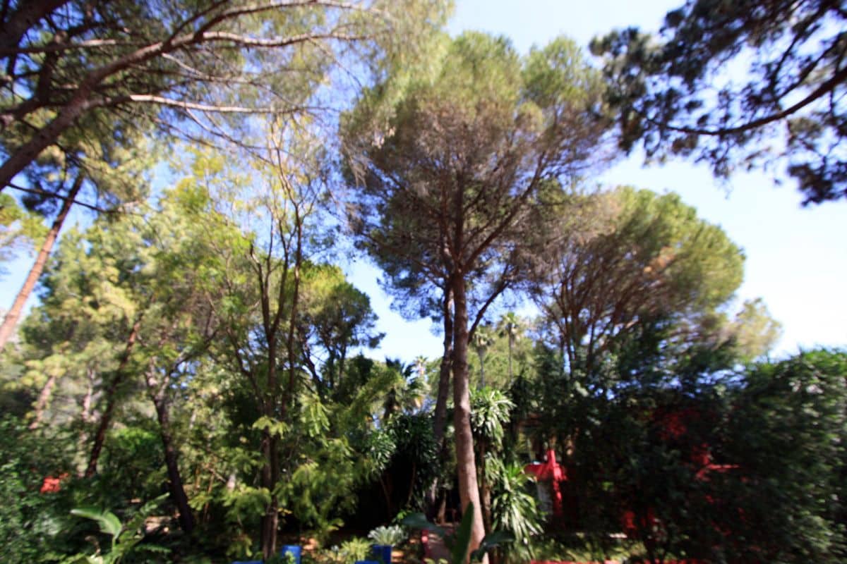 11 bedroom Villa for sale in Sagra with pool garage - € 1,990,000 (Ref: 9816484)