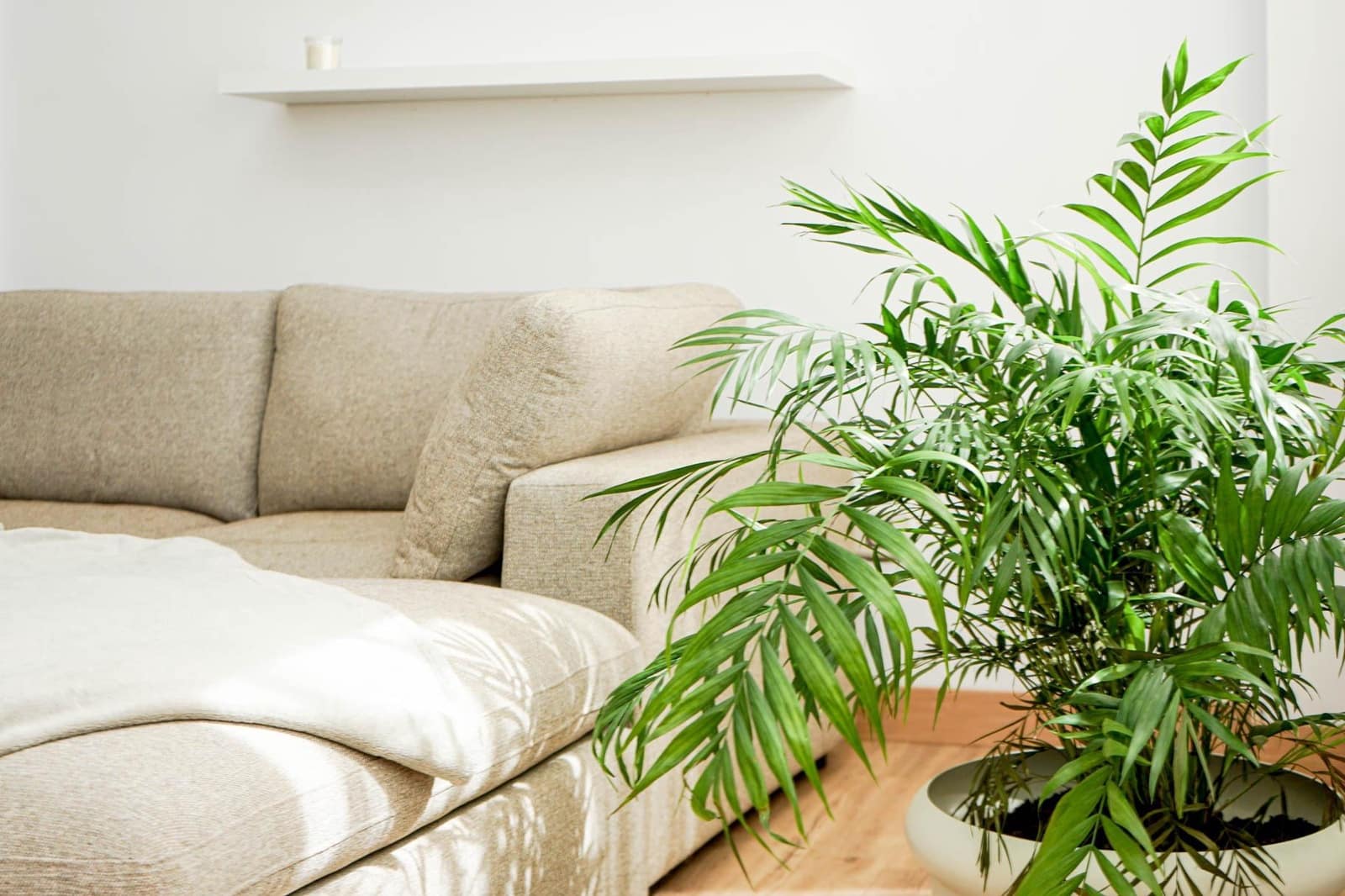 3 soverom Leilighet til salgs i Mogan - € 295 000 (Ref: 9783040)