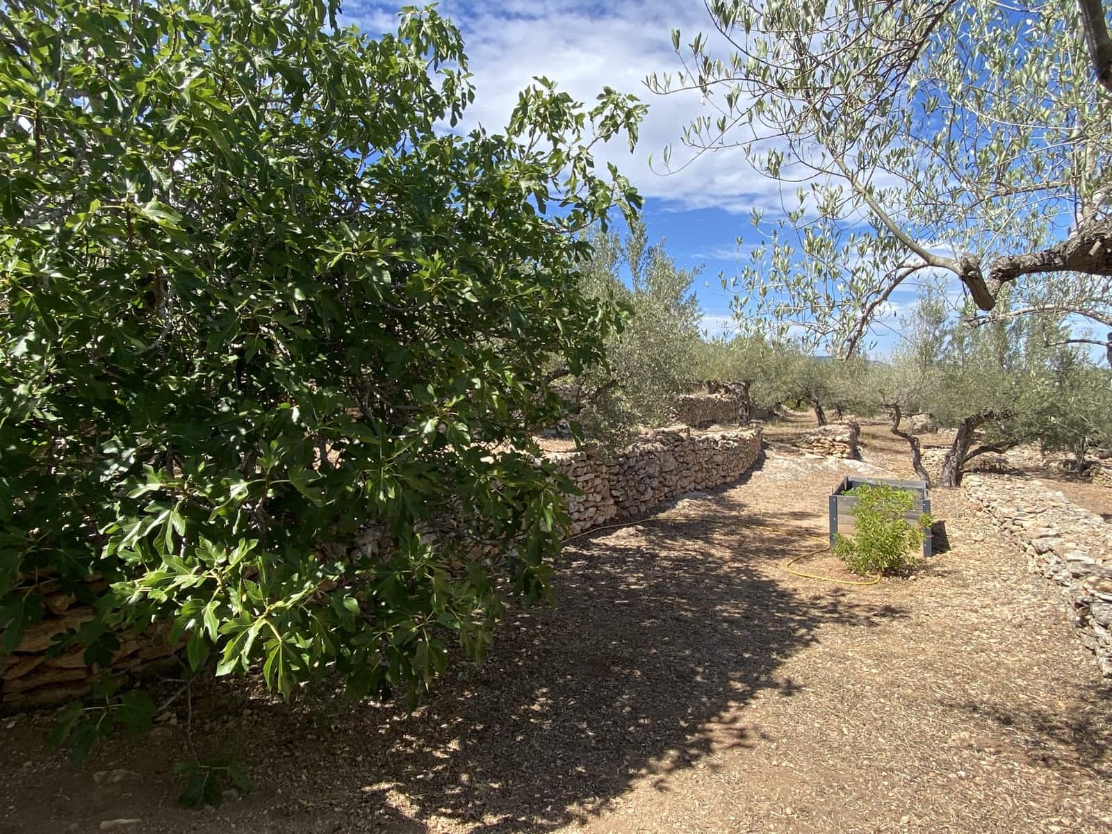 3 bedroom Finca/Country House for sale in Tortosa with pool - € 495,000 (Ref: 10026596)
