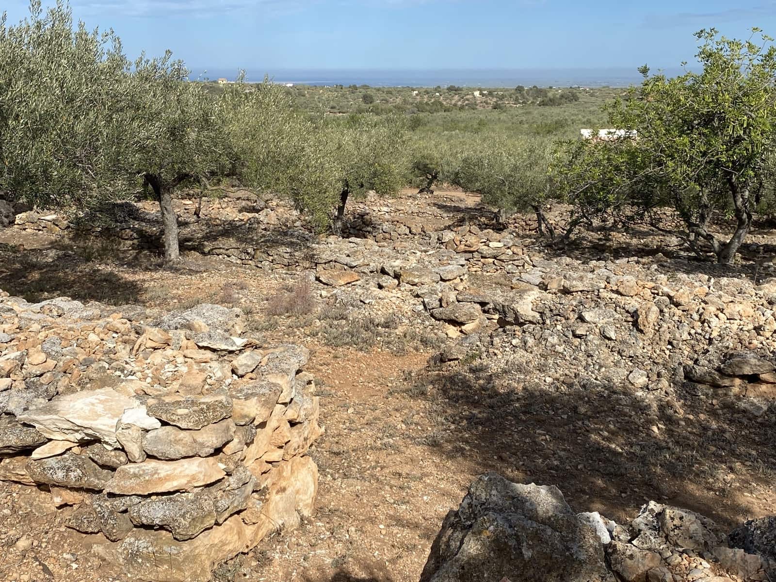 3 bedroom Finca/Country House for sale in Tortosa with pool - € 495,000 (Ref: 10026596)