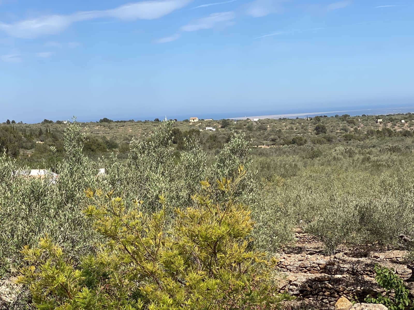 3 bedroom Finca/Country House for sale in Tortosa with pool - € 495,000 (Ref: 10026596)