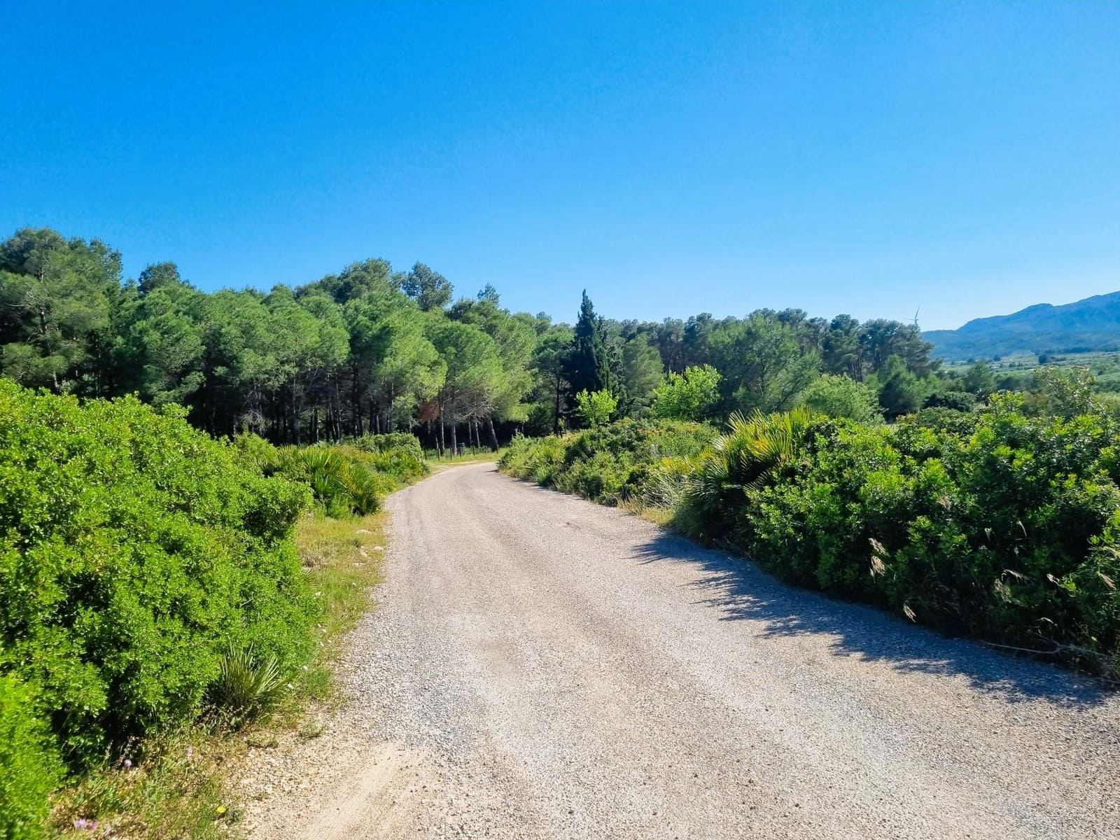 8 slaapkamer Finca/Landhuis te koop in El Perello met zwembad - € 399.000 (Ref: 10026607)