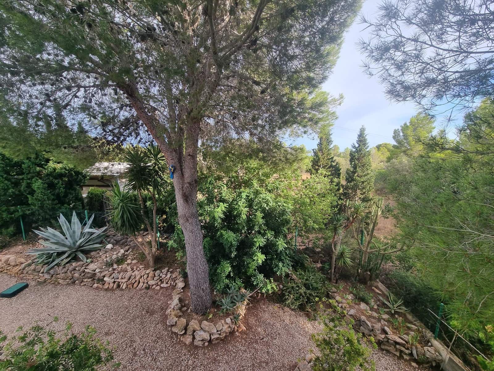 4 soveværelse Villa til salg i El Perello med swimmingpool garage - € 347.000 (Ref: 10062740)