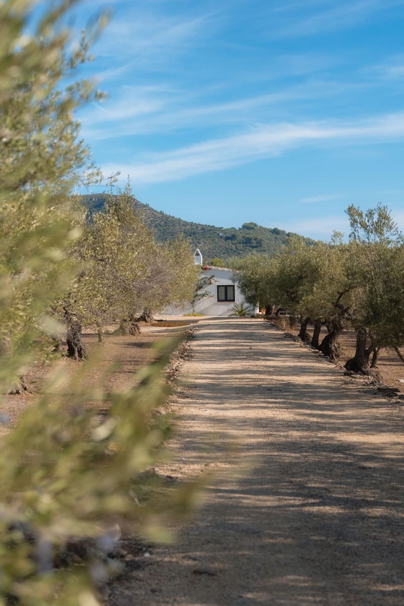 2 bedroom Finca/Country House for sale in L'Ampolla - € 315,000 (Ref: 10132162)