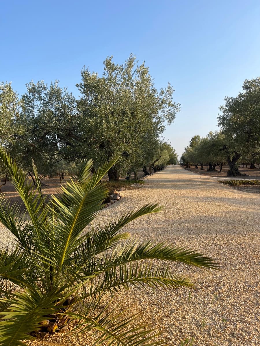 2 bedroom Finca/Country House for sale in L'Ampolla - € 315,000 (Ref: 10132162)