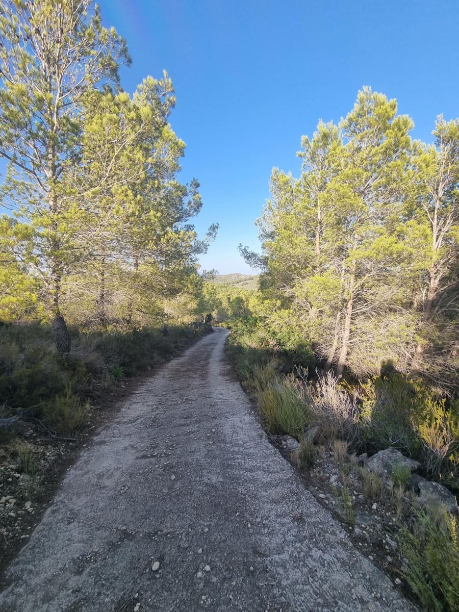 1 quarto Quinta/Casa Rural para venda em L'Ampolla - 243 000 € (Ref: 10185991)