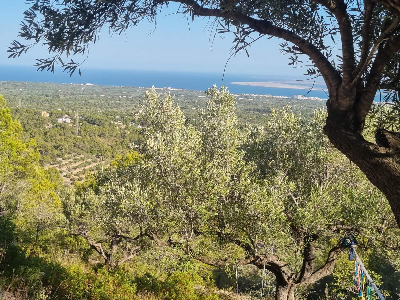 1 quarto Quinta/Casa Rural para venda em L'Ampolla - 243 000 € (Ref: 10185991)