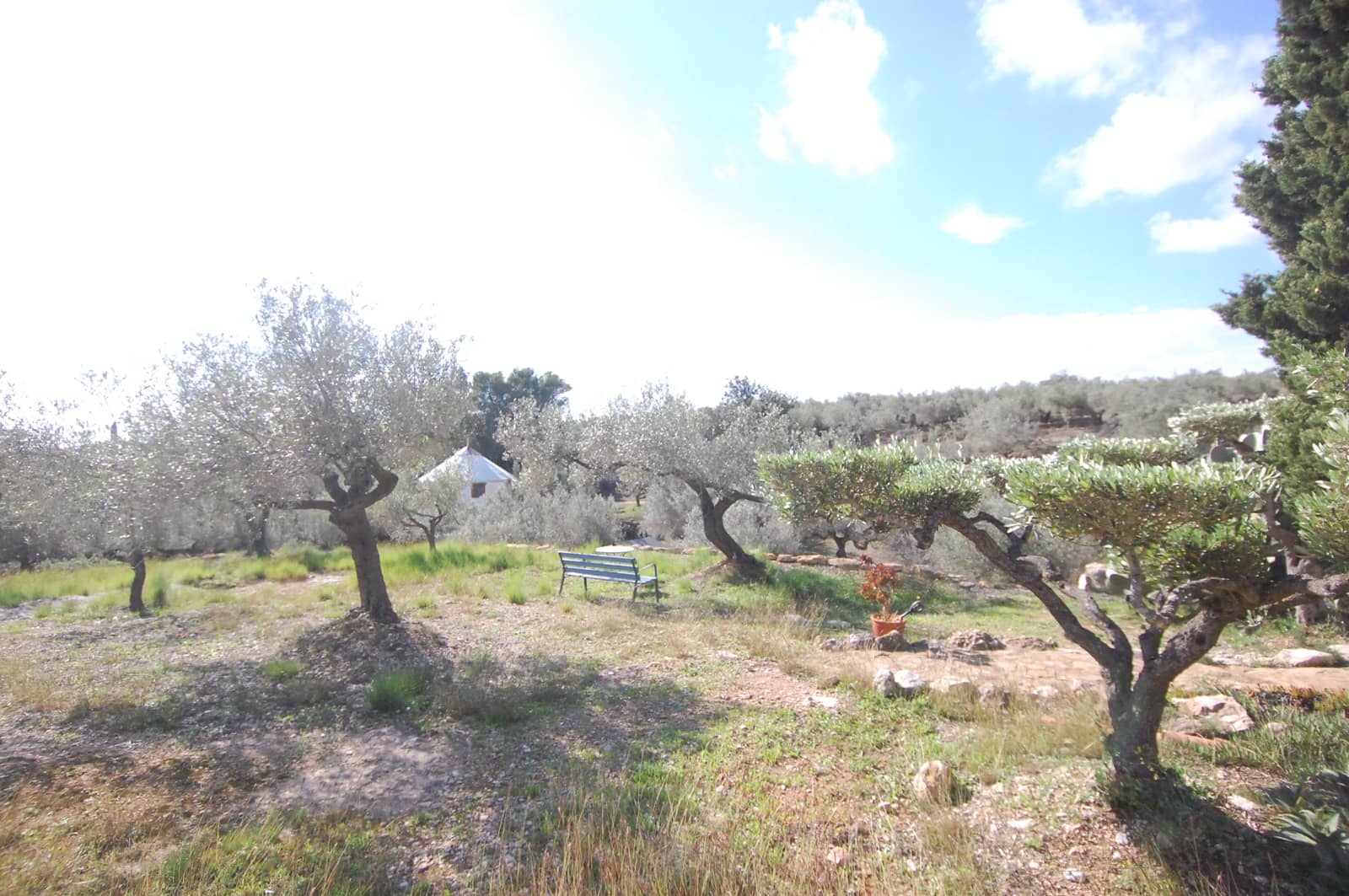 5 soverom Finca/Herregård til salgs i Camarles med svømmebasseng - € 395 000 (Ref: 10186005)