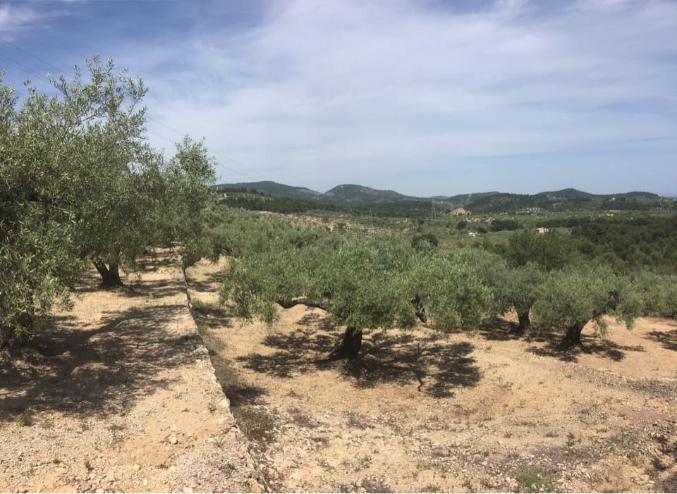 1 soveværelse Finca/Landehus til salg i L'Ampolla - € 45.000 (Ref: 8506798)