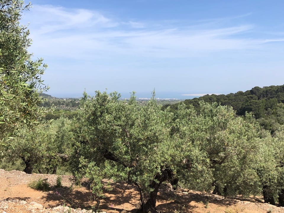 1 soveværelse Finca/Landehus til salg i L'Ampolla - € 45.000 (Ref: 8506798)