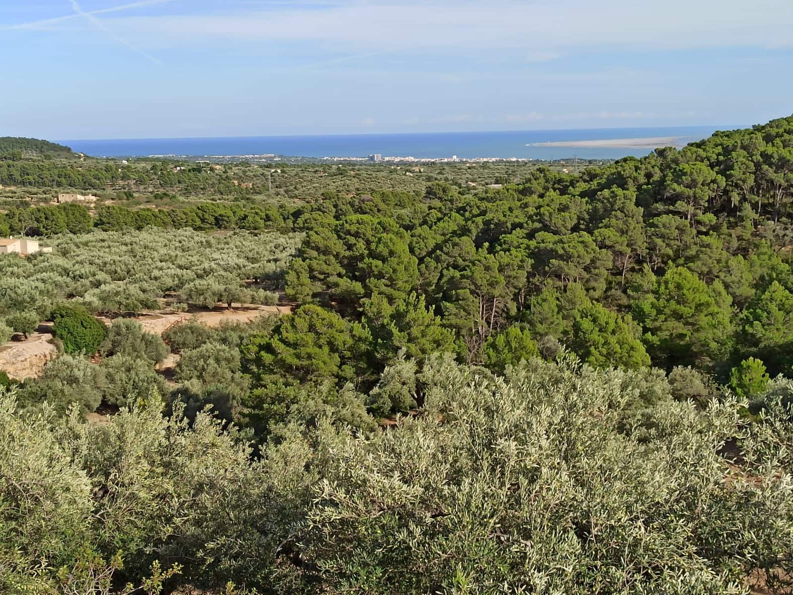 1 soveværelse Finca/Landehus til salg i L'Ampolla - € 45.000 (Ref: 8506798)