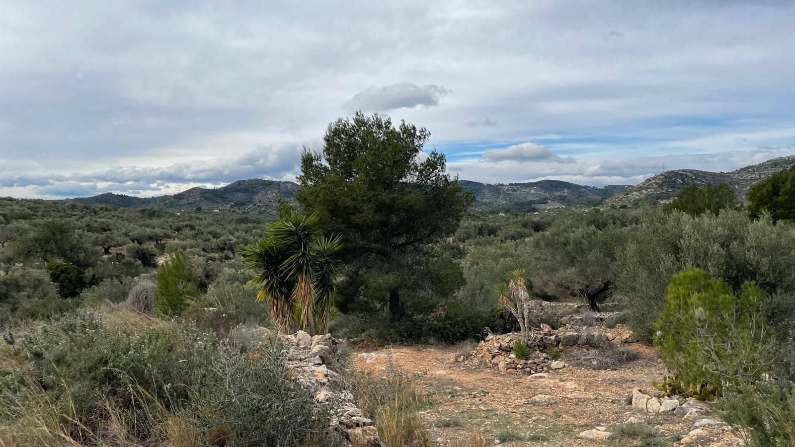 Finca/Landehus til salg i L'Ampolla - € 59.000 (Ref: 8664636)