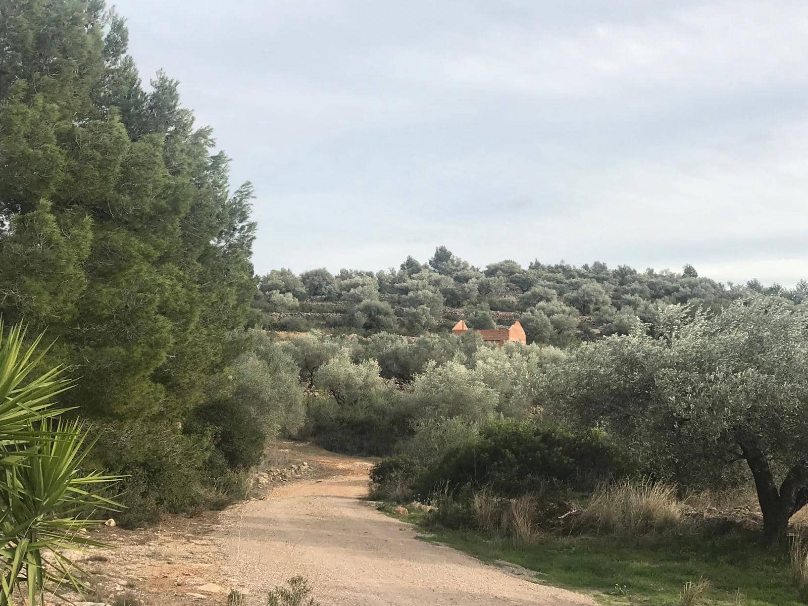 Finca/Landehus til salg i L'Ampolla - € 59.000 (Ref: 8664636)