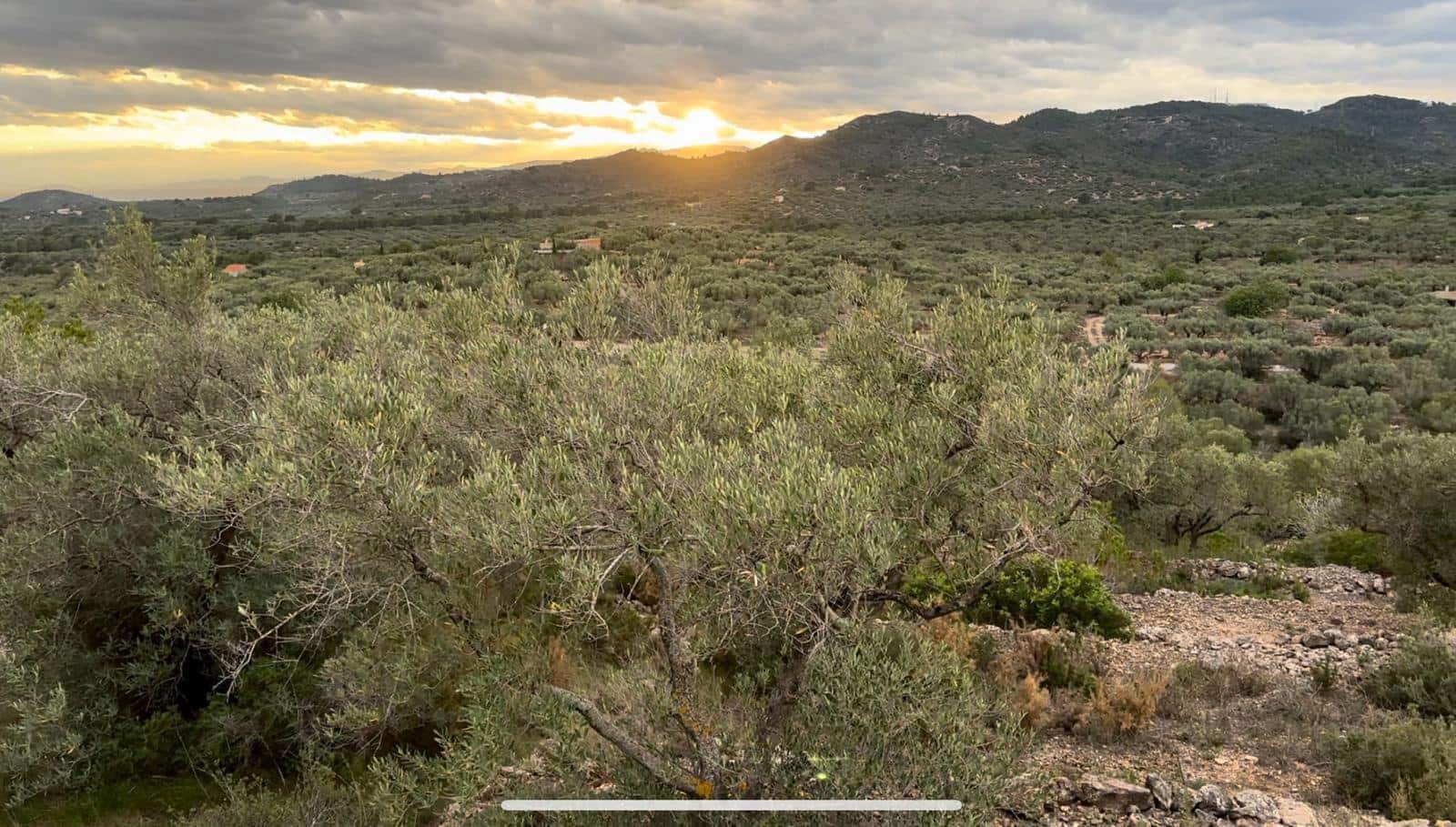 Finca/Landehus til salg i L'Ampolla - € 59.000 (Ref: 8664636)